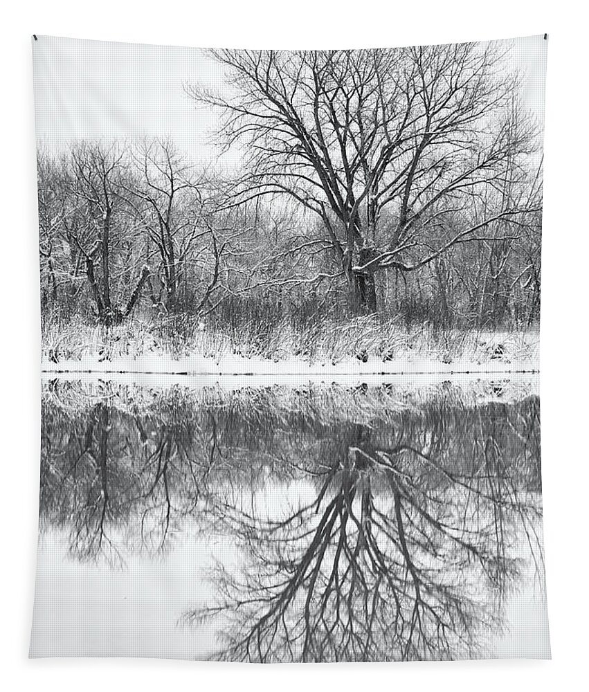 Trees Tapestry featuring the photograph Bare Trees by Darren White