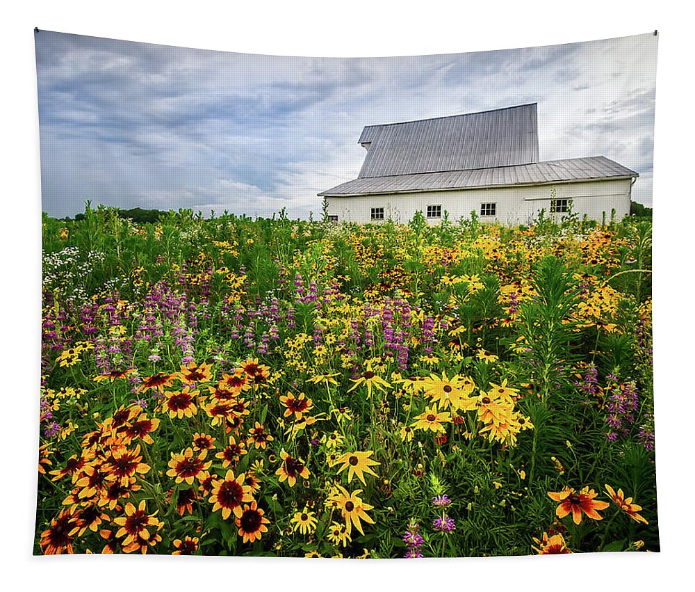 Gloriosa Daisy Tapestry featuring the photograph Barn and Wildflowers by Ron Pate