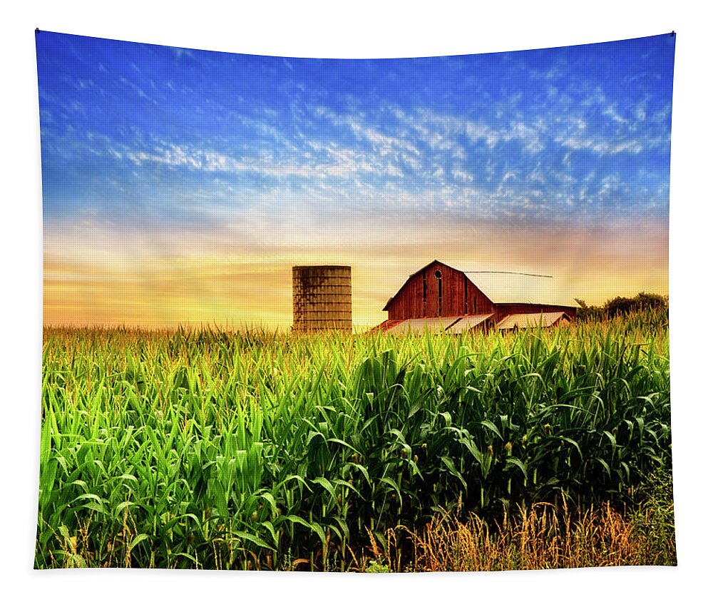 Appalachia Tapestry featuring the photograph Barn at the Farm at Sunset by Debra and Dave Vanderlaan