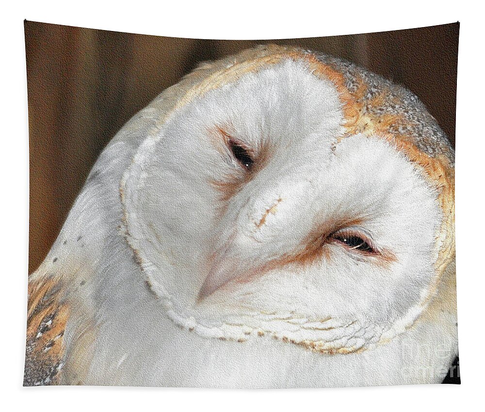 Owl Tapestry featuring the photograph Barn Owl by Lydia Holly