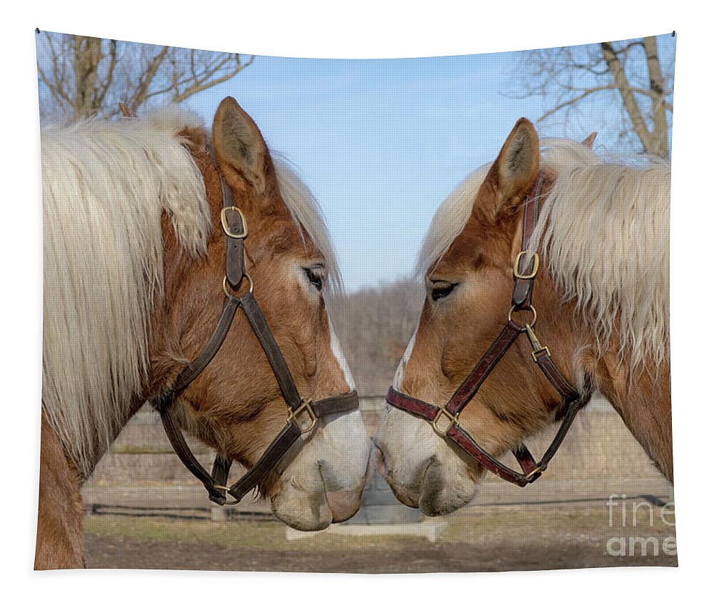 Horses Tapestry featuring the photograph Barnyard Buddies by Ann Horn