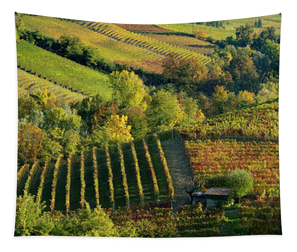 Barolo Tapestry featuring the photograph Barolo Vineyards by Brian Jannsen
