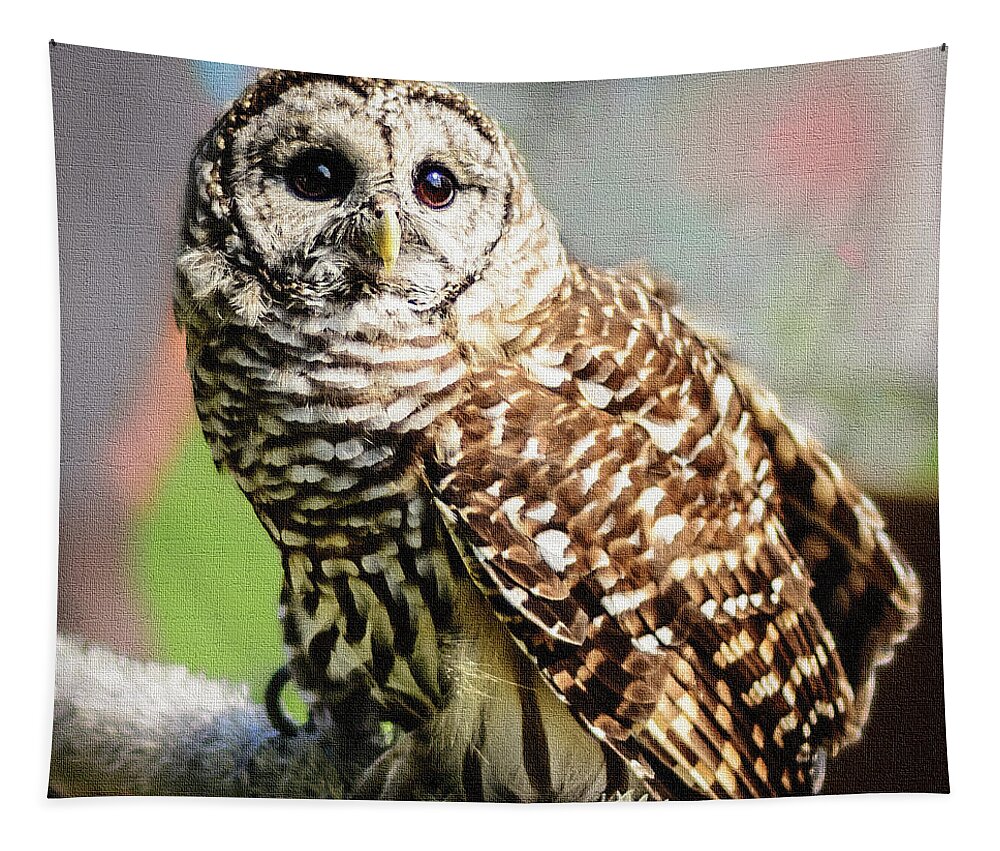 Barred Owl Tapestry featuring the photograph Barred Owl by Robert Mitchell