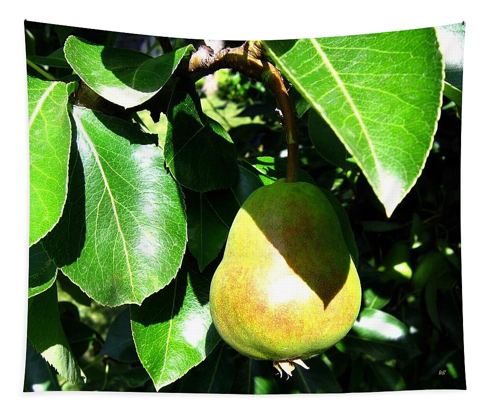 Pear Tapestry featuring the photograph Bartlett Pear by Will Borden