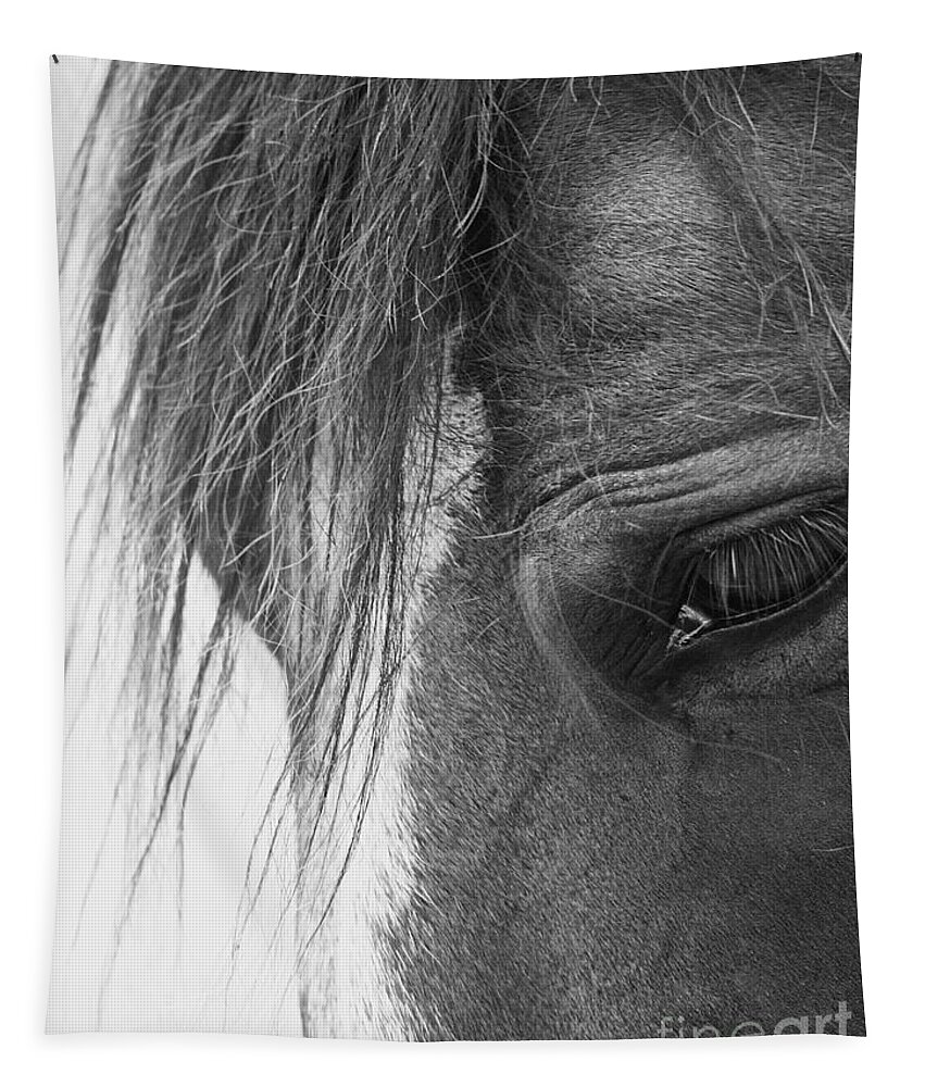 Horse Tapestry featuring the photograph Bashful by Rachel Morrison