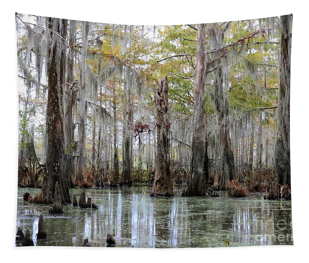 Louisiana Tapestry featuring the photograph Bayou Magic by Carol Groenen