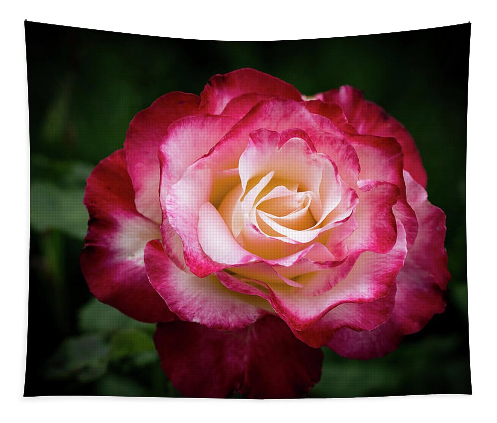 Rose Tapestry featuring the photograph Be Bolder by Vanessa Thomas