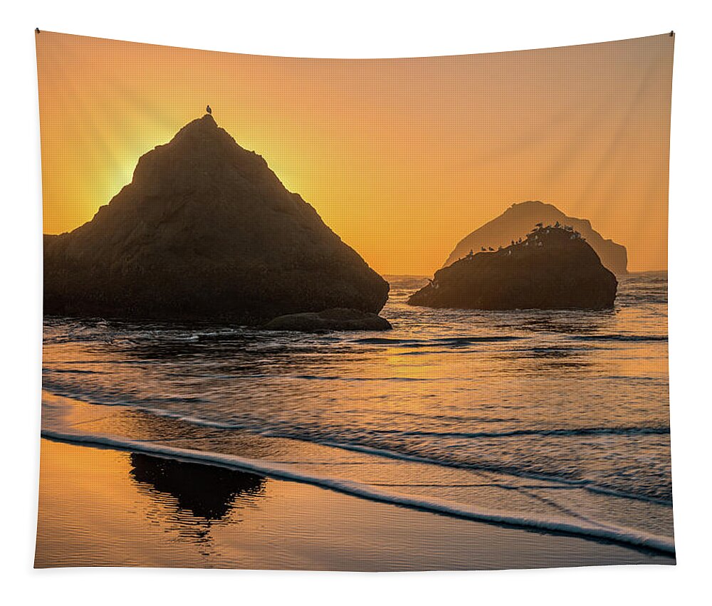 Beach Tapestry featuring the photograph Be your own bird by Darren White
