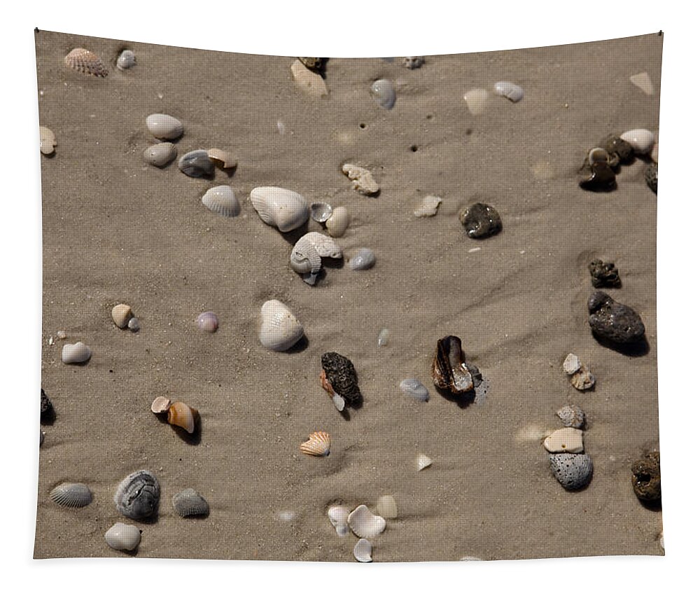 Texture Tapestry featuring the photograph Beach 1121 by Michael Fryd