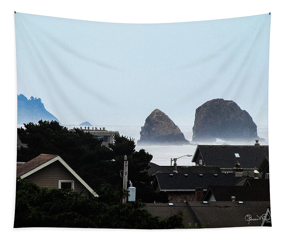 Susan Molnar Tapestry featuring the photograph Beach House View by Susan Molnar