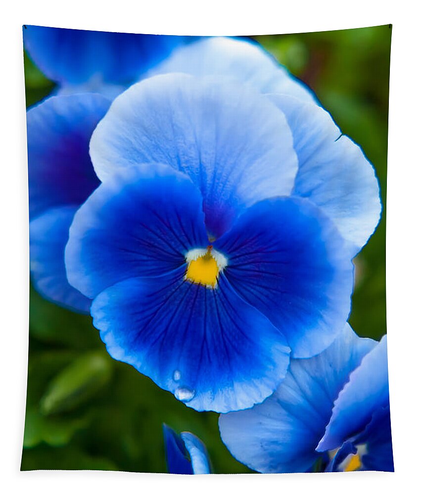 Spring Flowers Tapestry featuring the photograph Beautiful Blues by Az Jackson