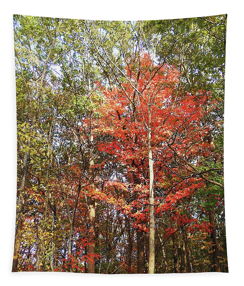 Fall Tapestry featuring the photograph Beautiful Fall Colors by Irina Sztukowski
