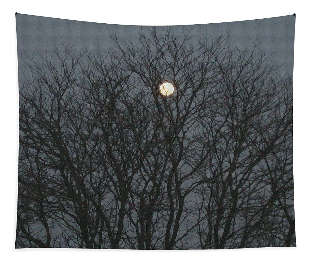 Full Moon Tapestry featuring the photograph Beautiful Moon by Sonali Gangane