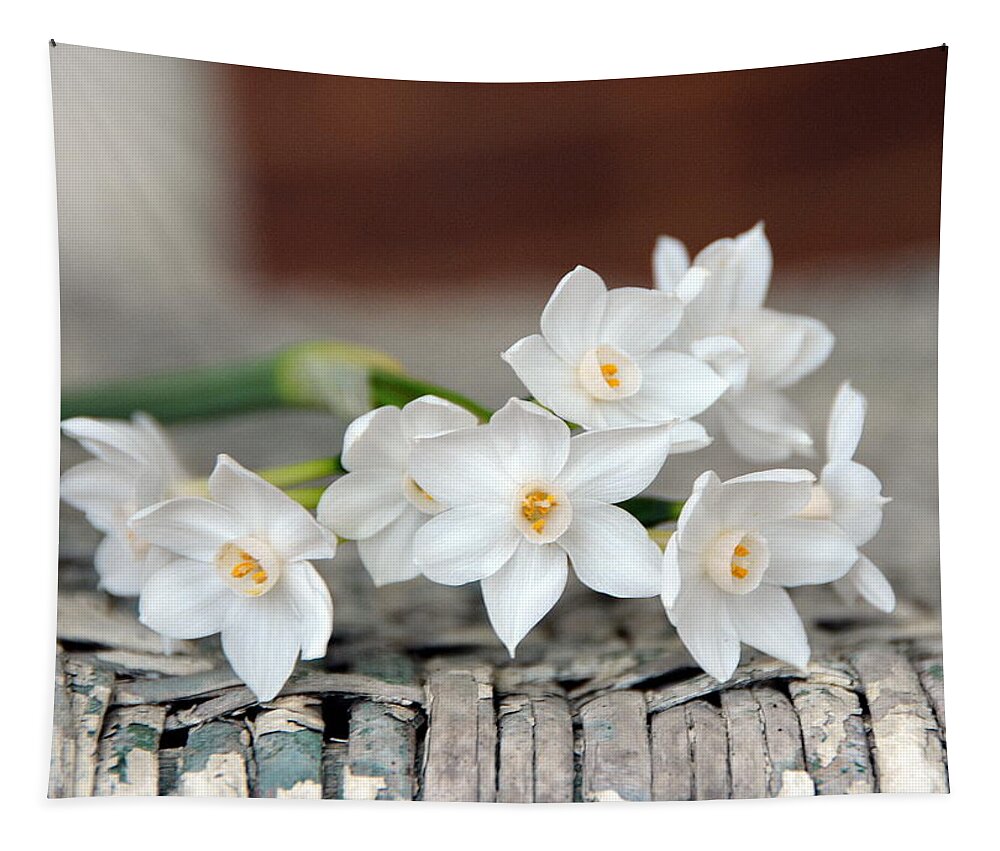 Paperwhite Tapestry featuring the photograph Beautiful Spring Paperwhites by Carla Parris