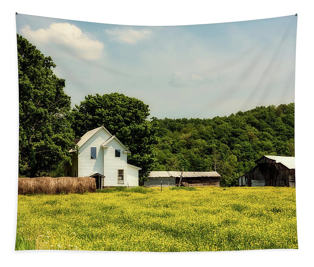 West Virginia Tapestry featuring the photograph Beautiful West Virginia by Mountain Dreams