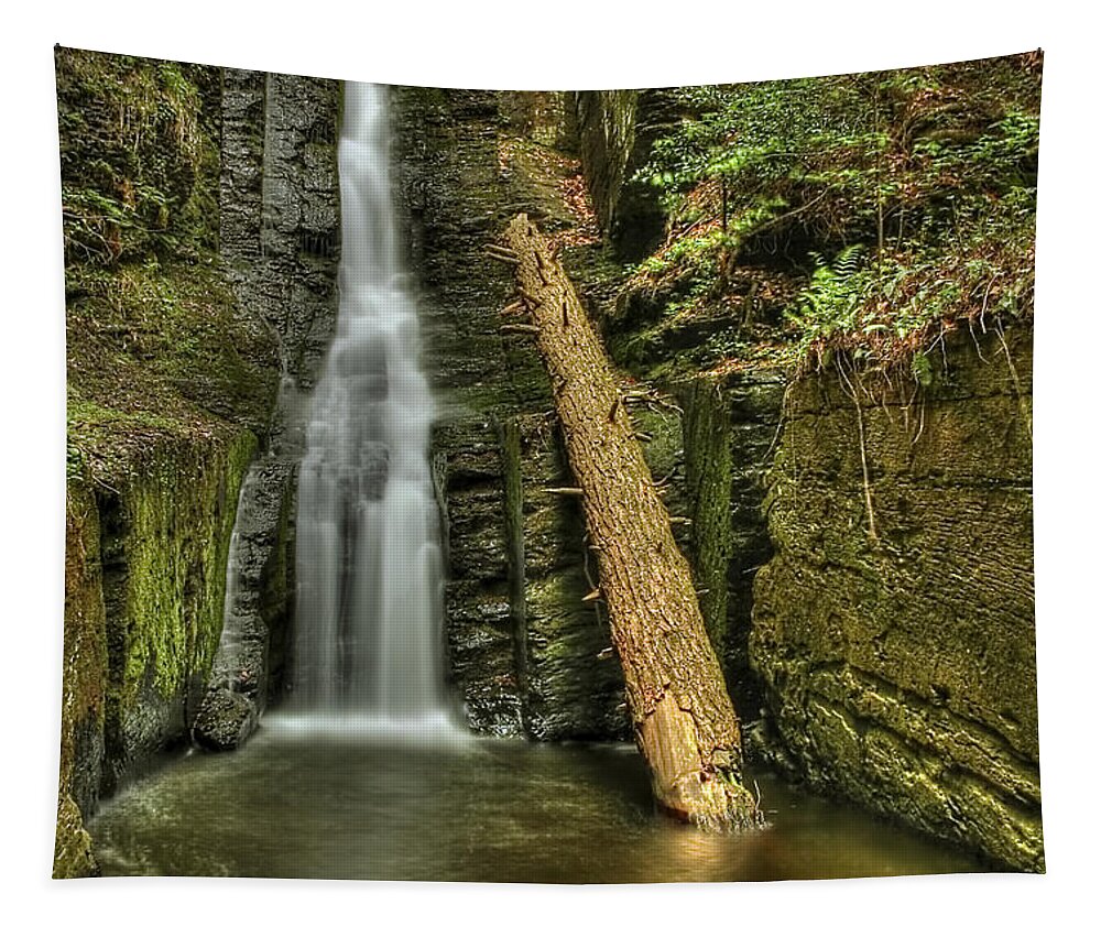 Beautiful Tapestry featuring the photograph Beautifully Confined by Evelina Kremsdorf