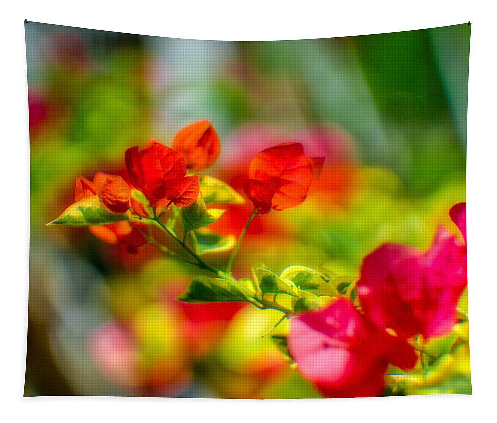 Flower Tapestry featuring the photograph Beauty in a Blur by Ches Black