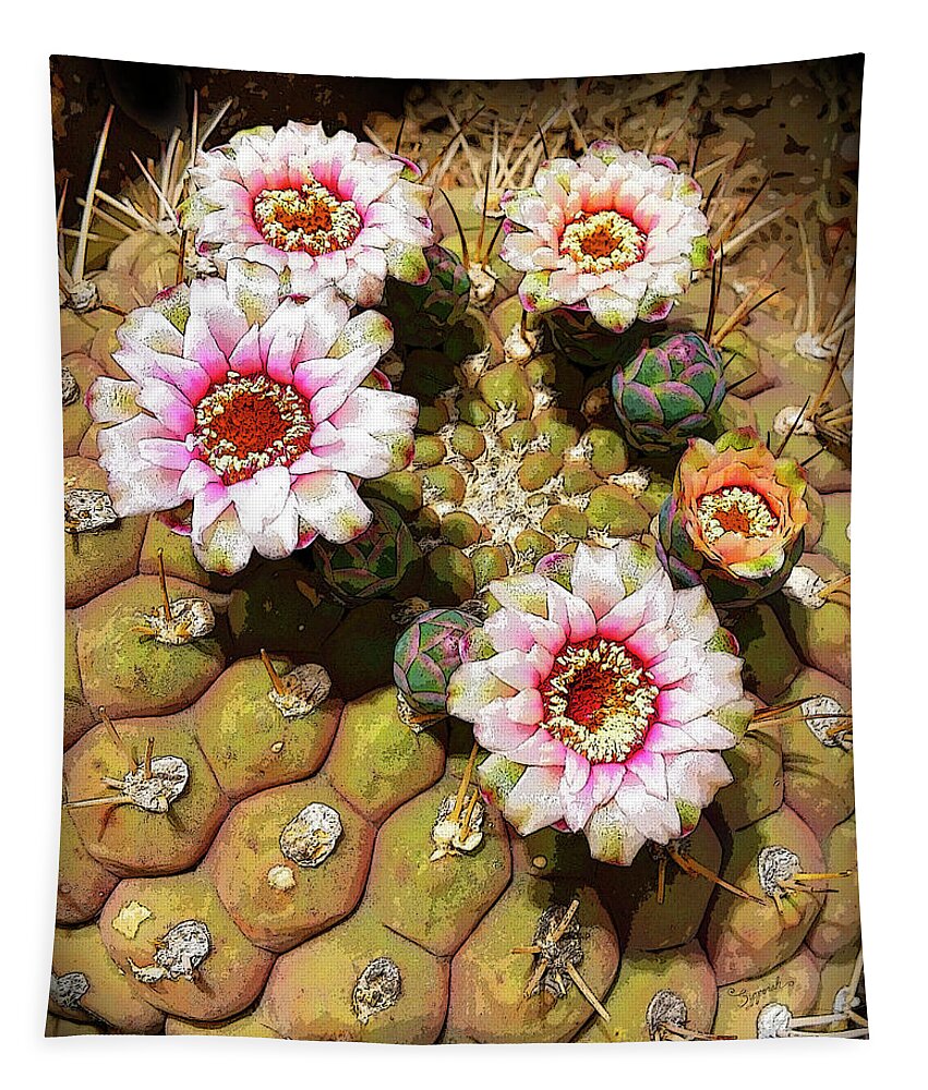 Cactus Tapestry featuring the photograph Beauty in the Desert by Sipporah Art and Illustration