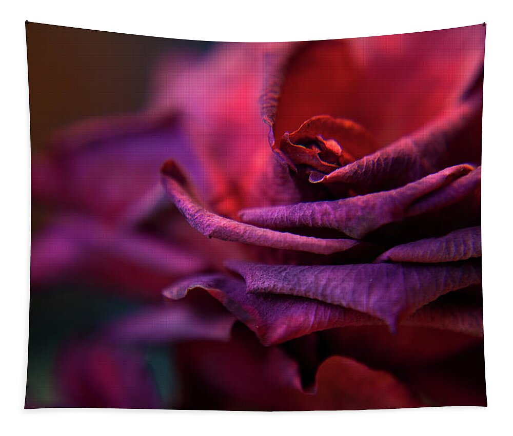 Red Tapestry featuring the photograph Beauty's Rose by Theresa Tahara