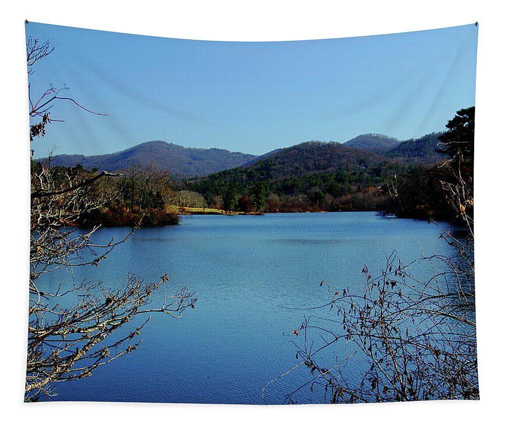 Lake Tapestry featuring the photograph Beaver Lake View by Allen Nice-Webb