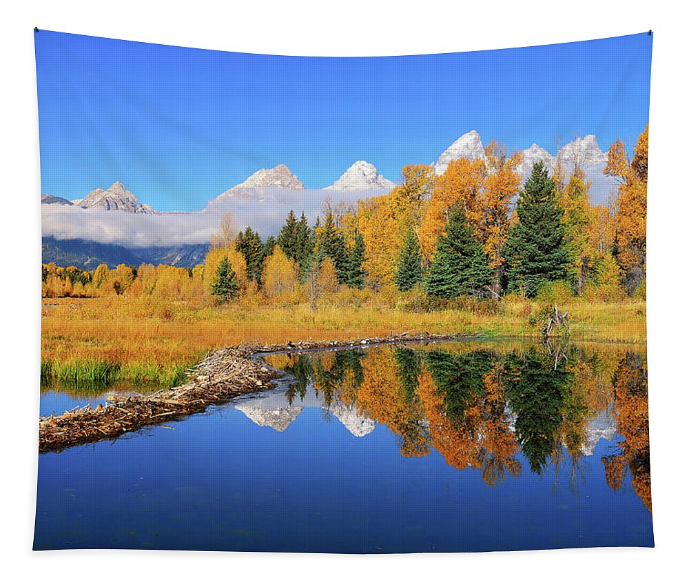 Tetons Tapestry featuring the photograph Beaver Pond Autumn Reflections by Greg Norrell