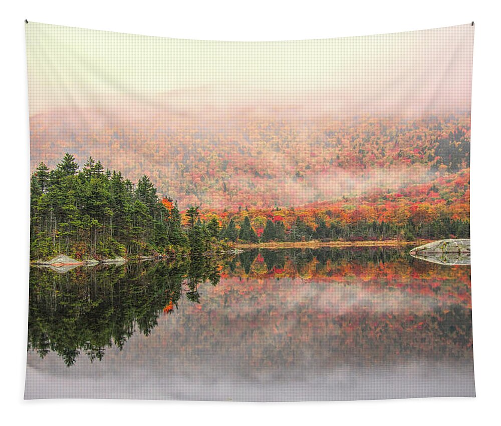 Beaver Pond Nh Tapestry featuring the photograph Beaver Pond New Hampshire by Jeff Folger