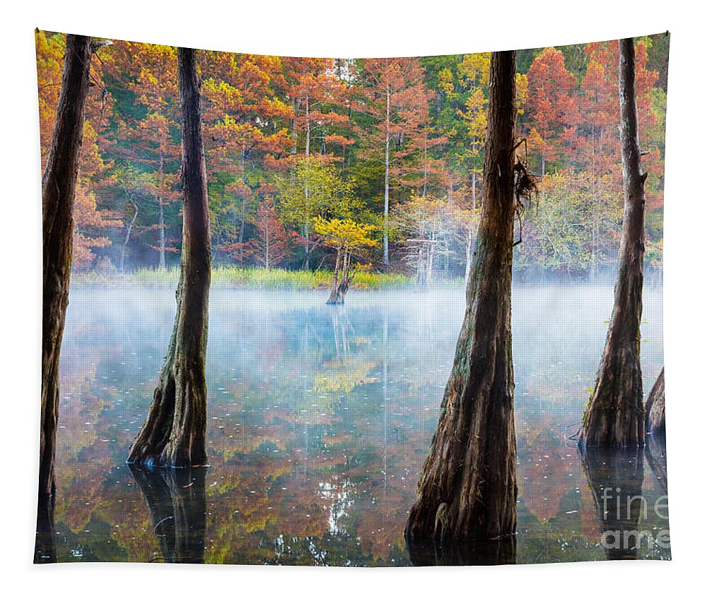 America Tapestry featuring the photograph Beavers Bend Cypress Grove by Inge Johnsson