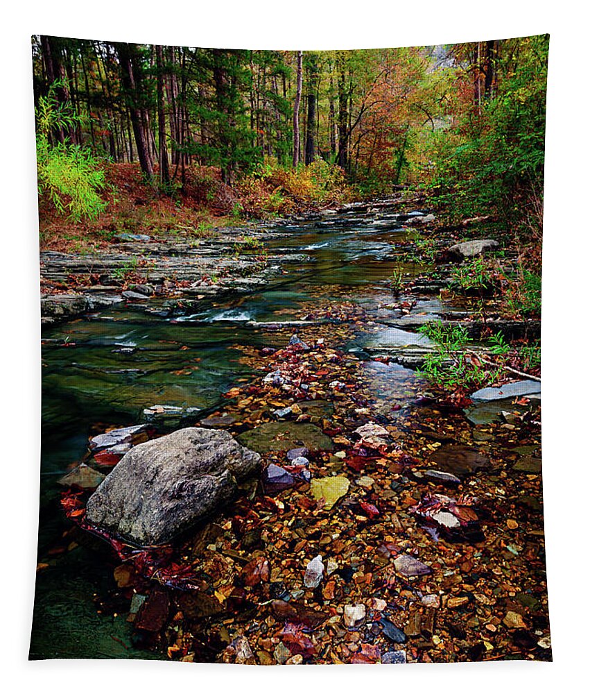 Landscape Tapestry featuring the photograph Beaver's Bend Tiny Stream Vertical by Tamyra Ayles