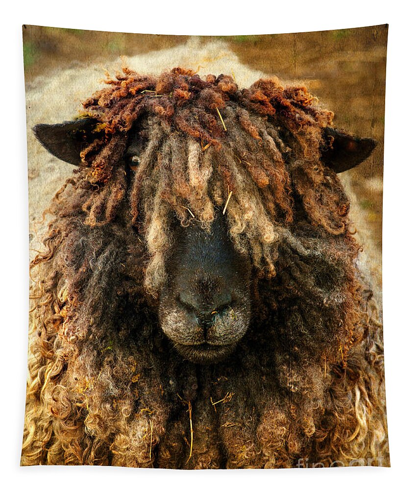 Sheep Tapestry featuring the photograph Because Ewe Are Worth It by Linsey Williams