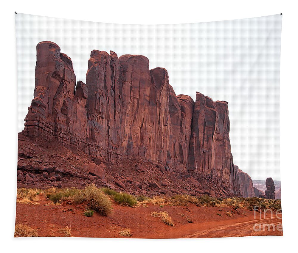 Monument Valley Print Tapestry featuring the photograph Red Trail by Jim Garrison