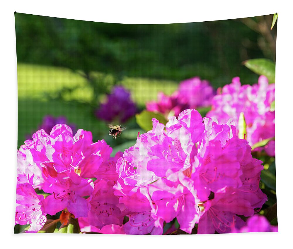 Bee Tapestry featuring the photograph Bee Flying Over Catawba Rhododendron by D K Wall