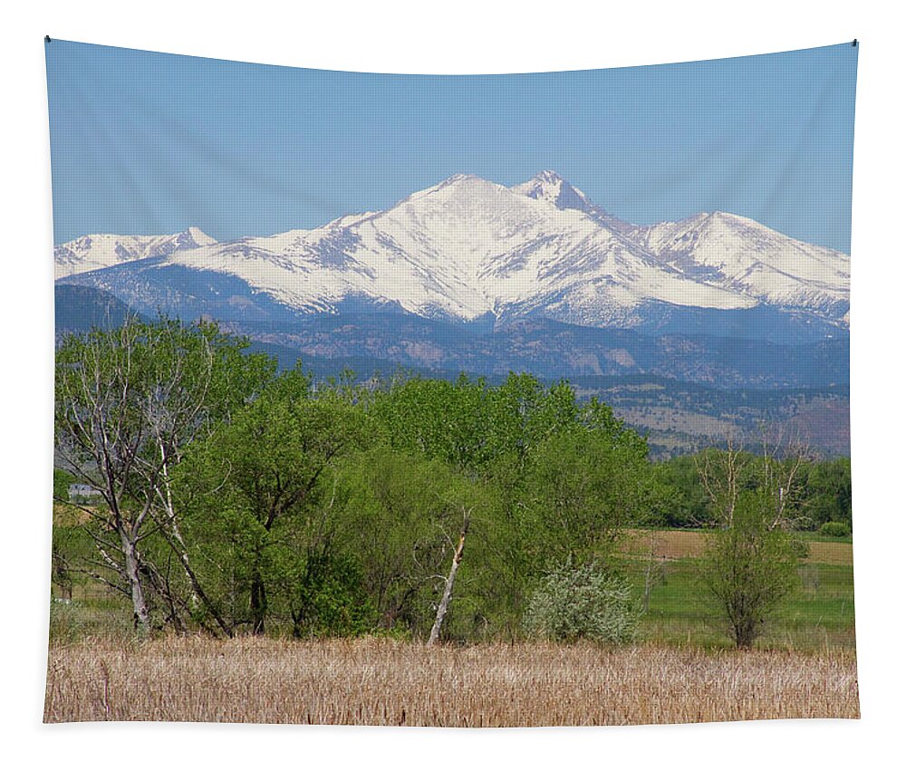14ers Tapestry featuring the photograph Before The Melt Off Of the Rocky Mountains by James BO Insogna