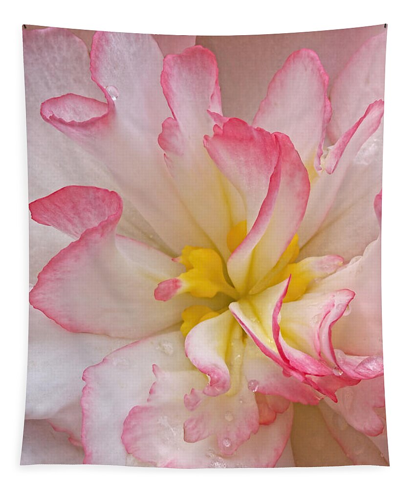 Begonia Tapestry featuring the photograph Begonia Pink Frills - Vertival by Gill Billington