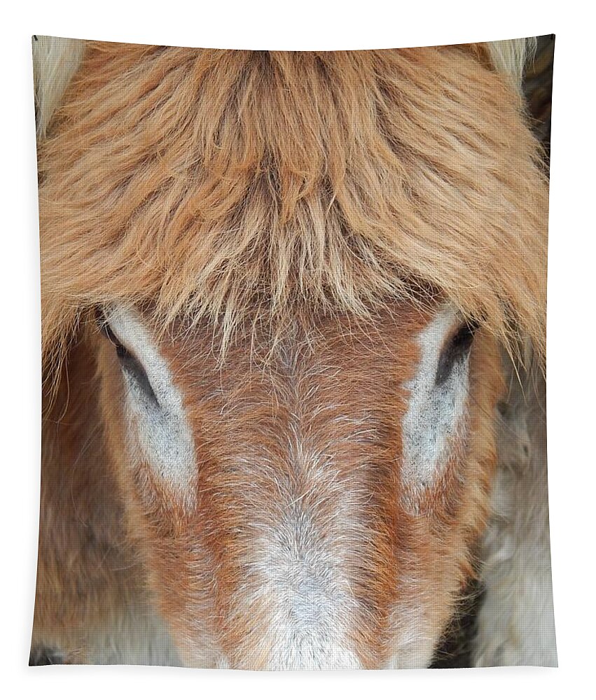 Donkey Tapestry featuring the photograph Believe Me Its Real by Jan Gelders