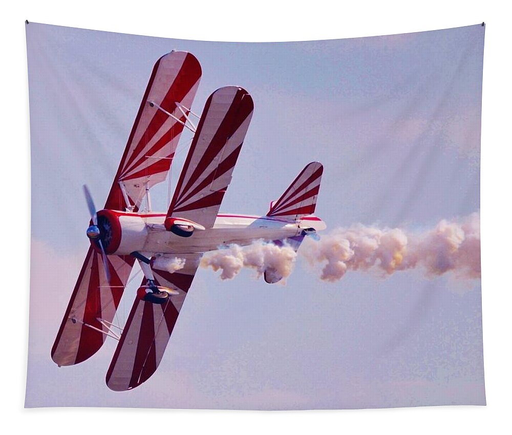 Plane Tapestry featuring the photograph Belly of a Biplane by Eileen Brymer