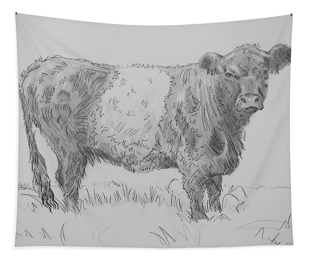 Belted Galloway Cow Drawing Tapestry featuring the drawing Belted Galloway Cow Pencil Drawing by Mike Jory