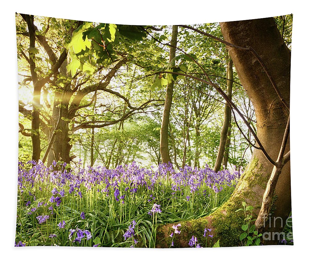 Forest Tapestry featuring the photograph Bent tree in bluebell forest by Simon Bratt