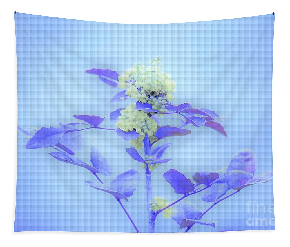 Floral Tapestry featuring the photograph Berries on blue by Merle Grenz