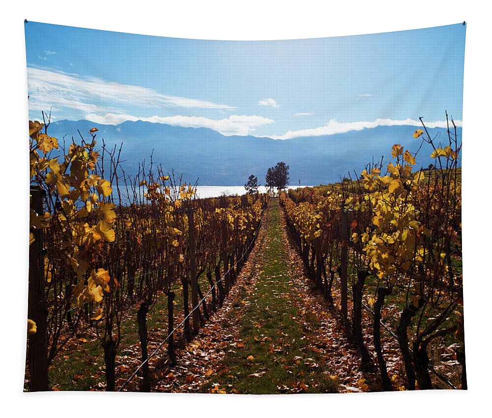 Kelowna Tapestry featuring the photograph Between the Vines by Allan Van Gasbeck