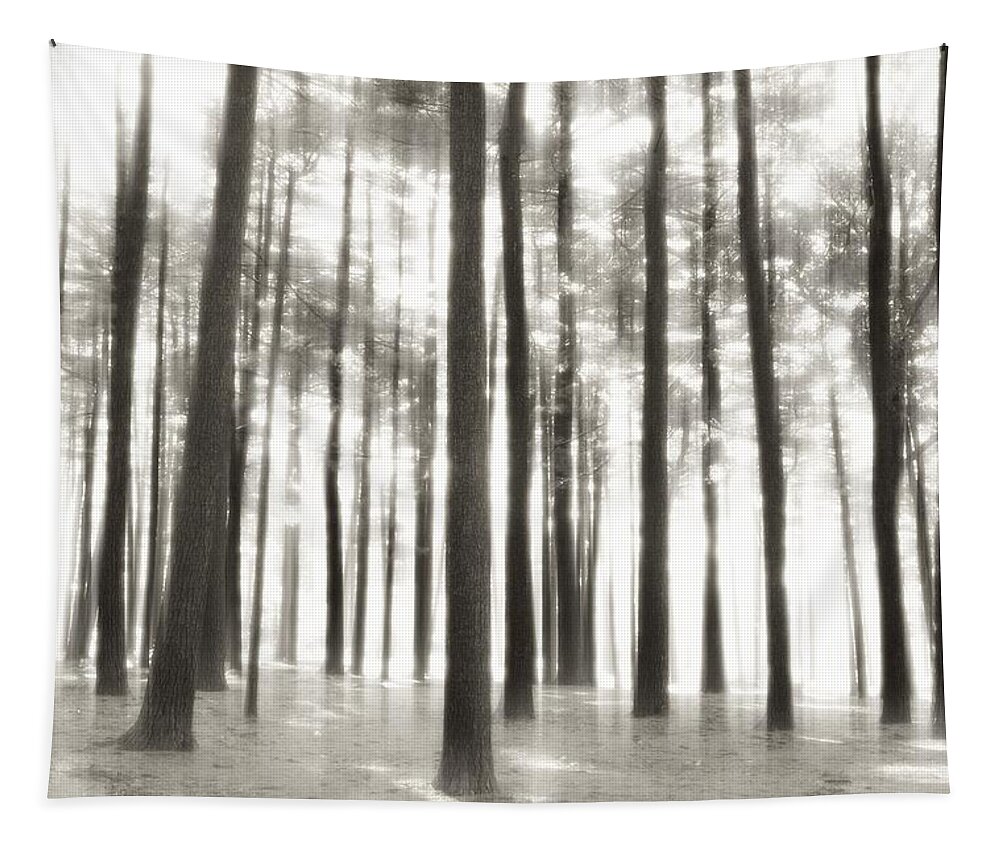 Nature Landscapes Tapestry featuring the photograph Beyond The Trees - Ocean County Park by Angie Tirado