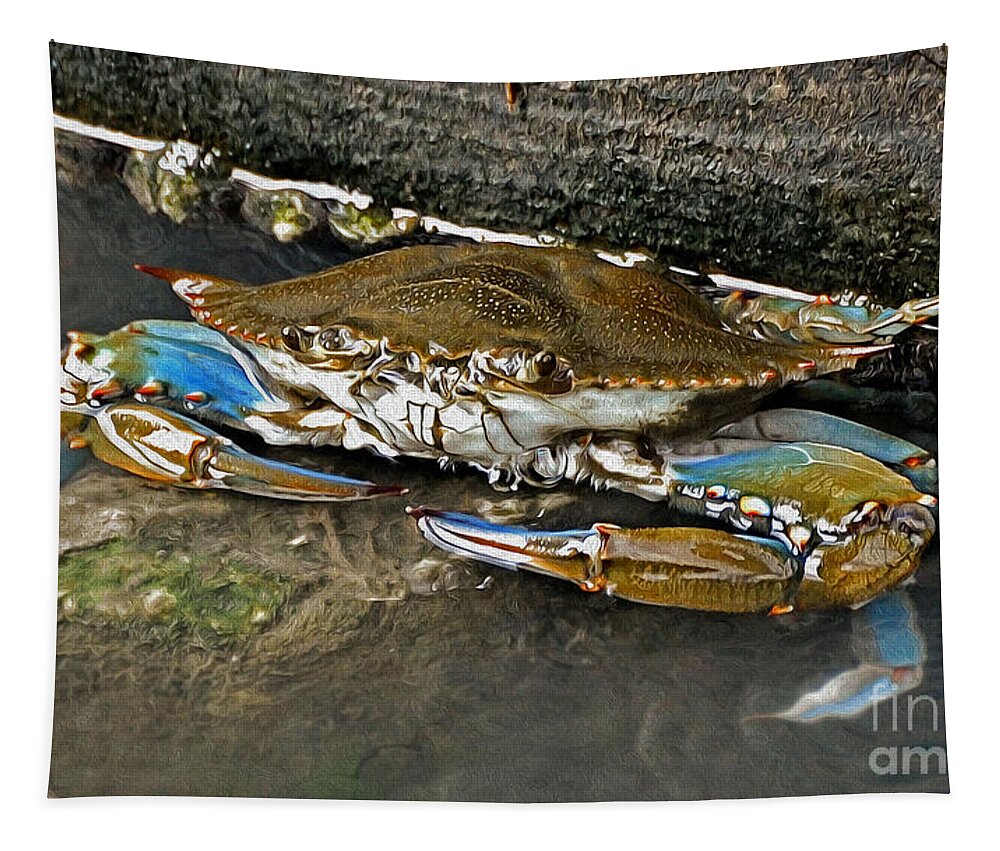 Crab Tapestry featuring the photograph Big Blue by Kathy Baccari