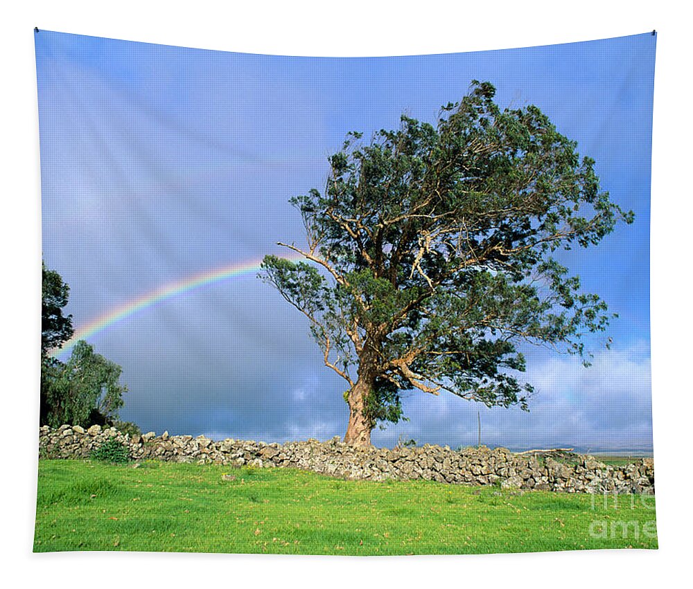 Big Tapestry featuring the photograph Big Island Rainbow by Peter French - Printscapes