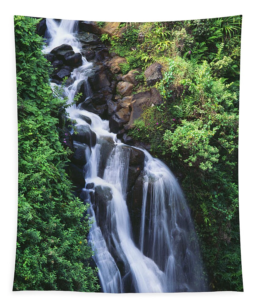 Beautiful Tapestry featuring the photograph Big Island Waterfall by William Waterfall - Printscapes