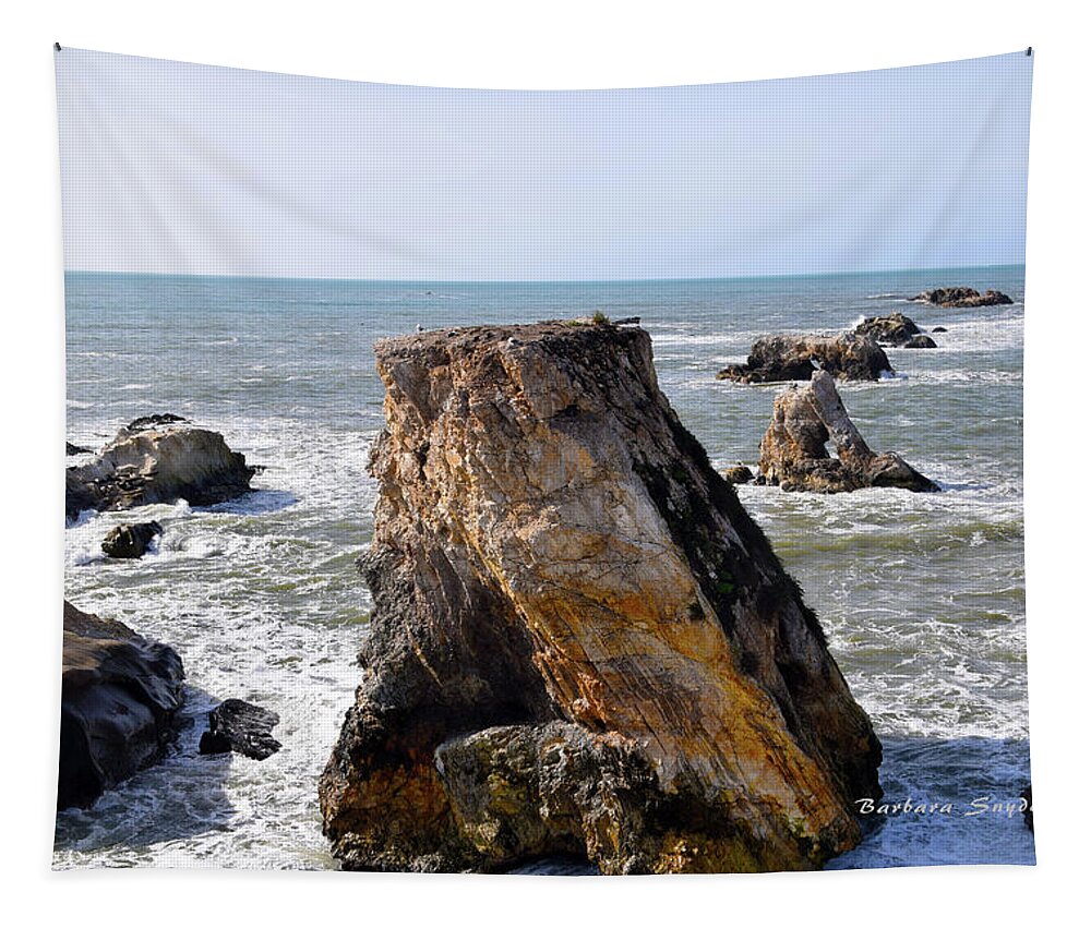  Barbara Snyder Tapestry featuring the photograph Big Rocks in Grey Water by Barbara Snyder