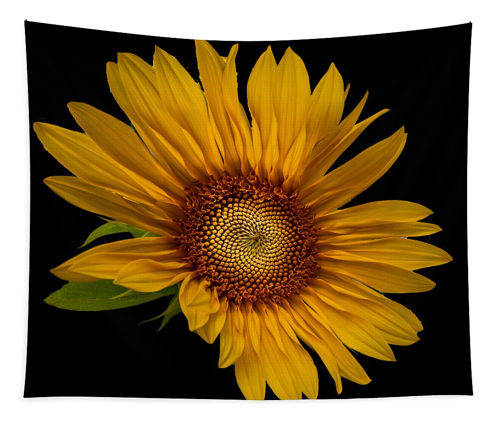 Art Tapestry featuring the photograph Big Sunflower by Debra and Dave Vanderlaan