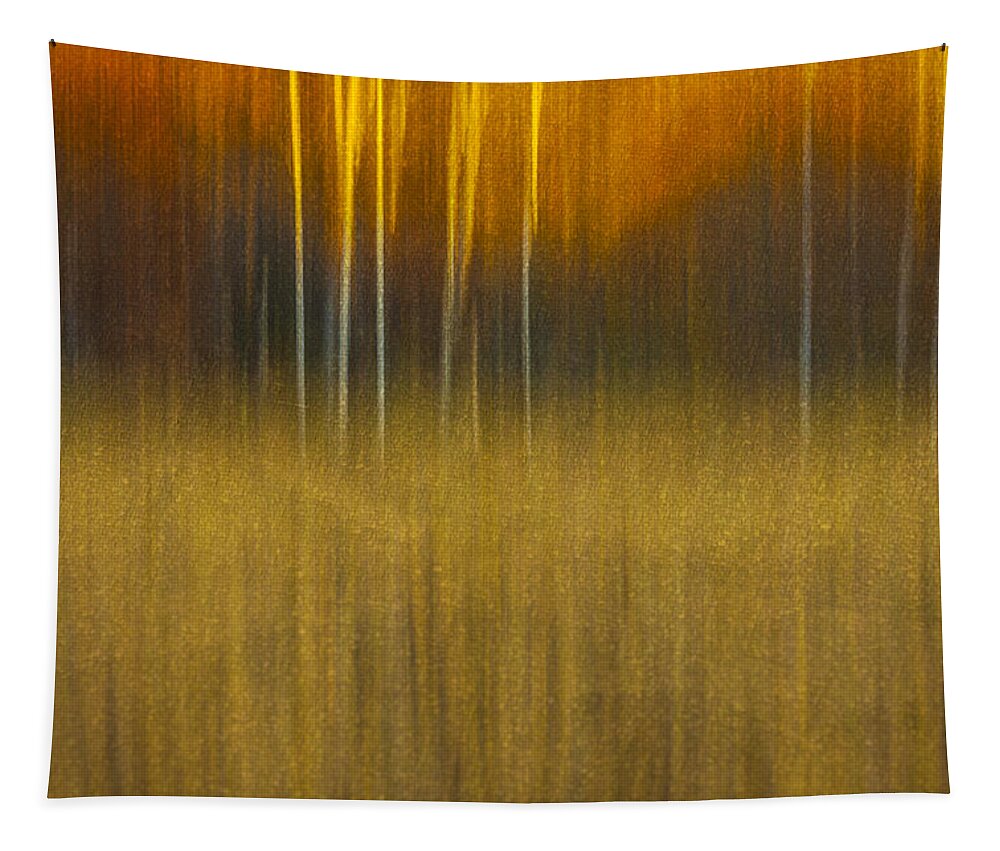 Abstract Tapestry featuring the photograph Birch At The Edge Of The Field 2015 by Thomas Young
