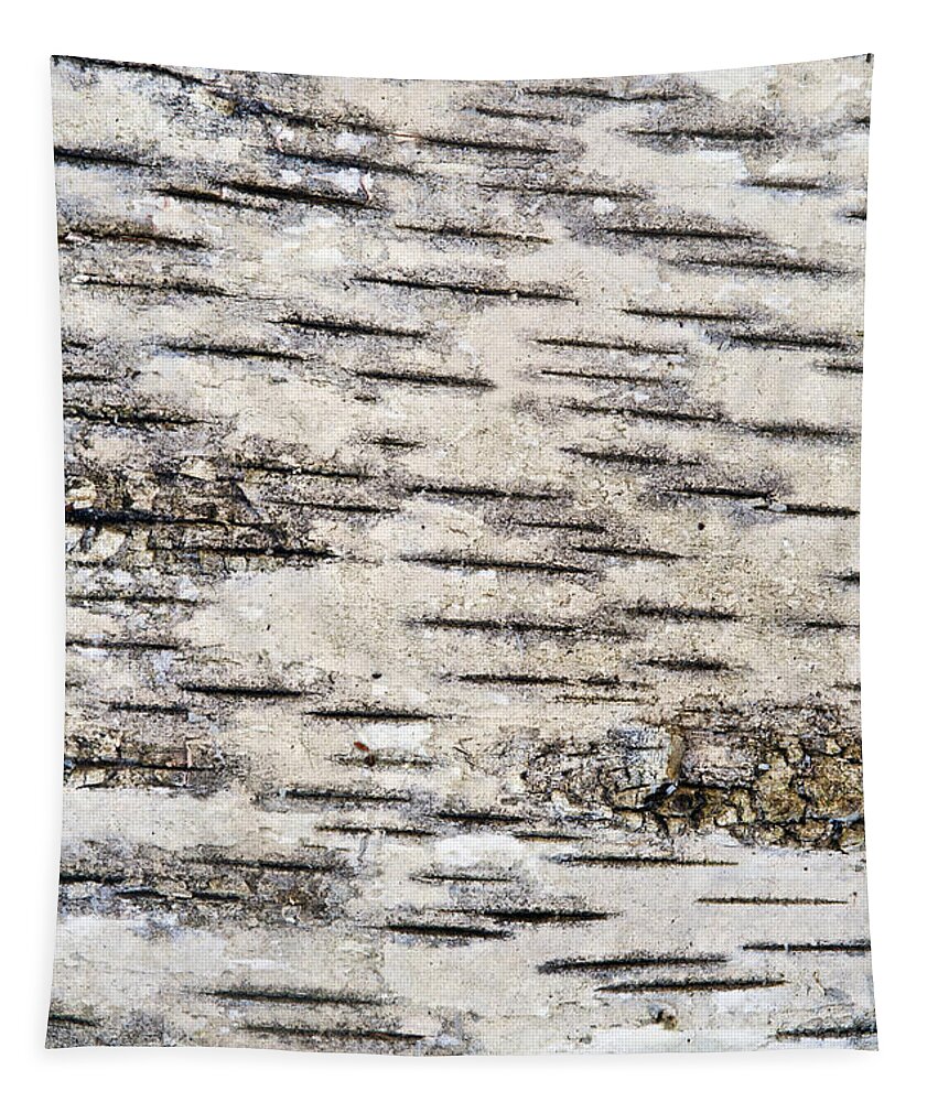 Abstract Tapestry featuring the photograph Birch Bark by Bill Brennan - Printscapes