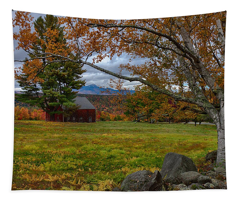 Chocorua Fall Colors Tapestry featuring the photograph Birch over the mountains by Jeff Folger
