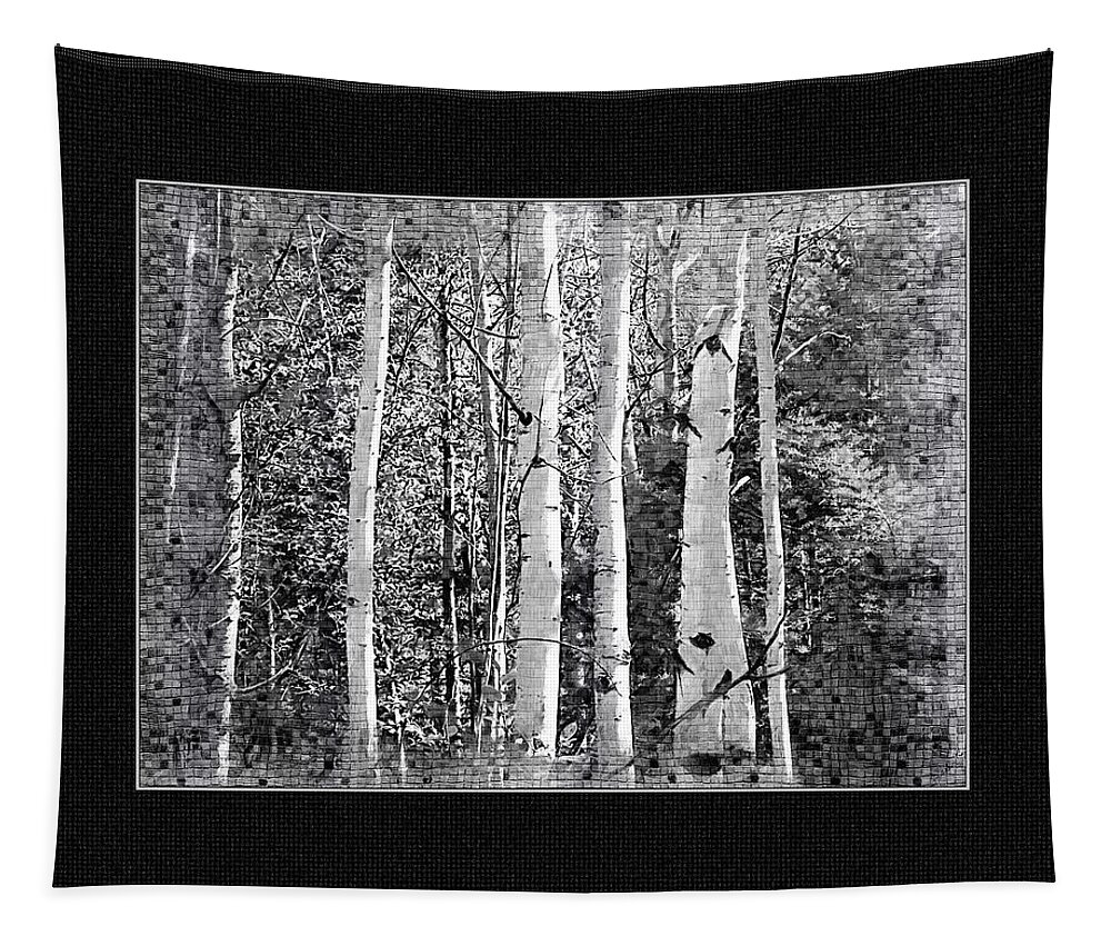 Birch Trees Tapestry featuring the photograph Birch Trees by Susan Kinney