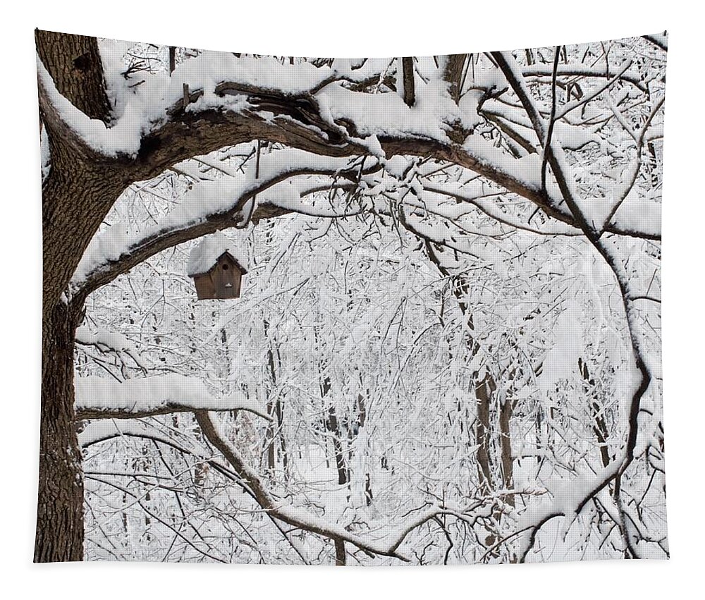 Birdhouse Tapestry featuring the photograph Bird House in Snow by R Allen Swezey